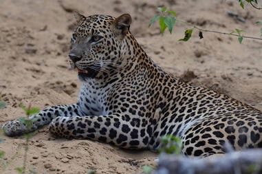 194977-5e5e6207a8669