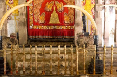 194977-5f4e1cda0650b