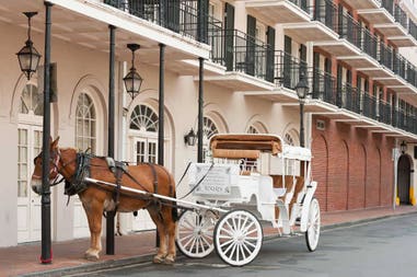 new-orleans-elegant-horse-drawn-carriage-in-french-quarter