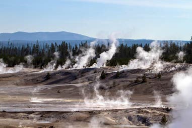 Geyser in Yellowstone National Park in the United States of America