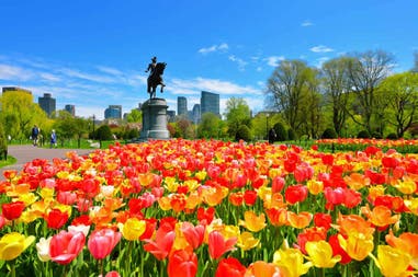View of a public garden in Boston in the United States