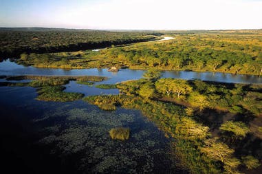 Botswana delta dell'Okavango