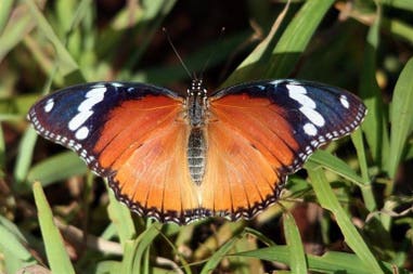 South Africa Morning Sun Nature Reserve