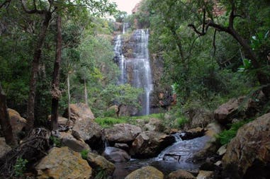 South Africa Morning Sun Nature Reserve