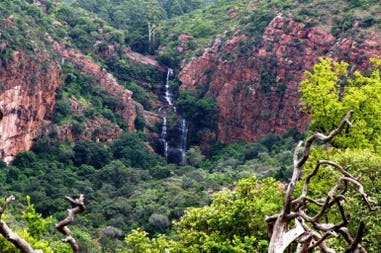South Africa Morning Sun Nature Reserve