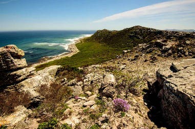 Nature of Cape Peninsula in Sotuh Africa