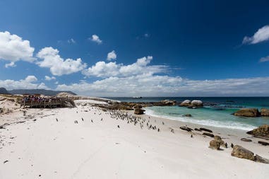 Boulders Beach in Cape Town in South Africa