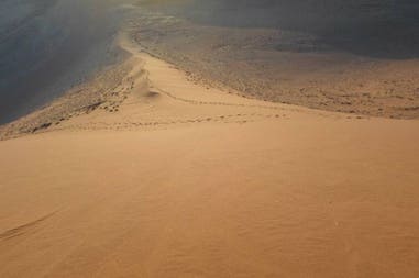 african-tour-ambiance