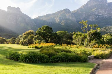 blogs2048x1365-how-to-plan-your-visit-to-kirstenbosch-national-botanical-gardens