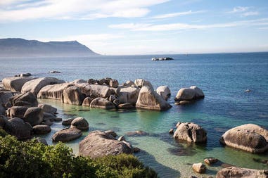 South Africa Cape Town penguin