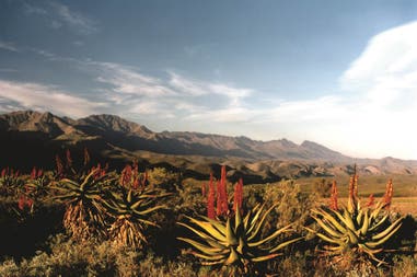 Scene along Route 62 near Oudtshoorn