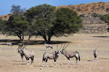 Kruger National Park