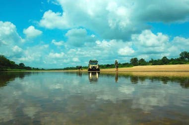 Game driving in South Africa