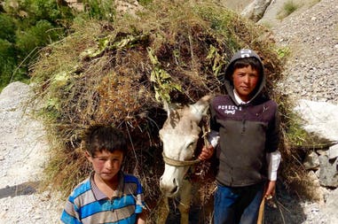 13-boys-with-donkey-tajikistan
