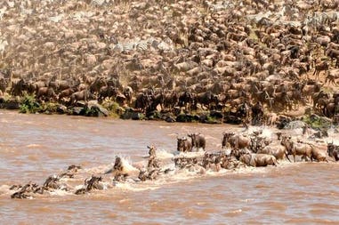 mara-crossing