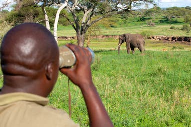 Elephant watching during a Safari in Tanzania