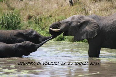 locandina-gallery-tanzania-testo-26