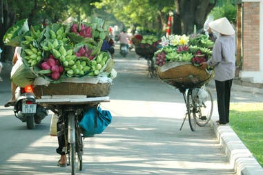 Flowers in Hanoi in Vietnam