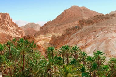 Tunisia oasis