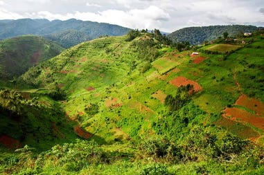 Uganda paesaggio