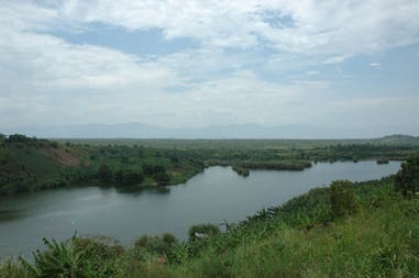 Swamp in Uganda