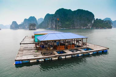 Floating village in Halong bay in Vietnam