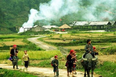 Men surrounded by rice fields in Vietnam