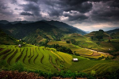 157528760-rice-fields-on-terraced-of-mu-cang-chai-yenbai-vietnam