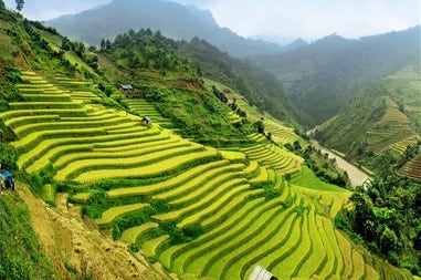 Panorama campi di riso a Mu Cang Chai