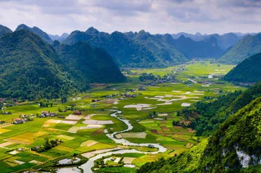 Rice field valley in Vietnam