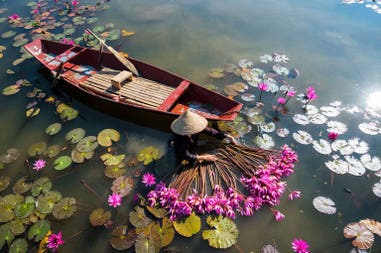yen-river-with-rowing-boat-harvesting-waterlily-in-ninh-binh-vietnam-1109113358