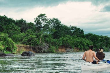 Zambia Zambezi