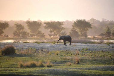 zimbabwe-parco-nazionale-hwange-elefante