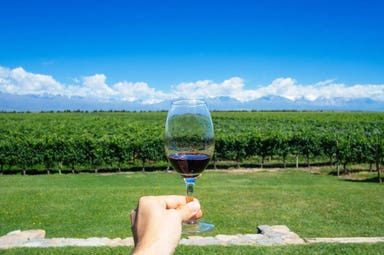 Tour di Argentina e Cile lungo il sentiero del vino