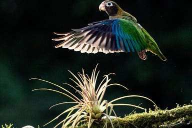 Costa Rica off the beaten path