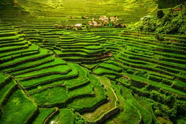 Tour delle Filippine con trekking sulla Cordigliera: Banaue, Batad e Sagada