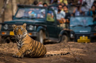 Ranthambore National Park