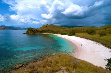 Fabolous Komodo Liveaboard Cruise and underwater life