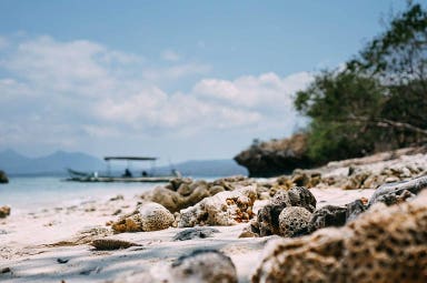 Immersioni nell'isola di Menjangan