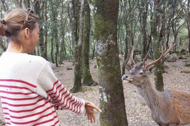 Escursione nella natura della Sardegna - Is Cannoneris