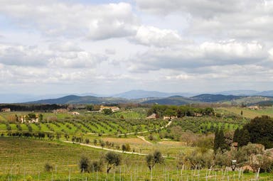 Chianti Afternoon Wine Tour 