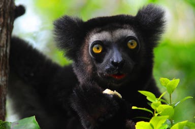 Wild East Madagascar Adventure