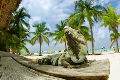 Mexico Tour - From the Pacific to the Caribbean