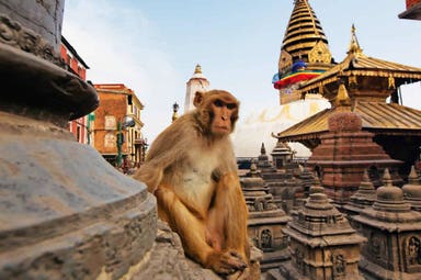 Avventura e tour in Nepal