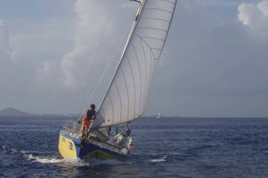 Foschi 39/ Blue Nose