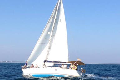 Sun Fizz 40