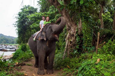 Sri Lanka tour honeymoon package and holiday