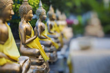 Mini tour alla scoperta dei tesori dello Sri Lanka