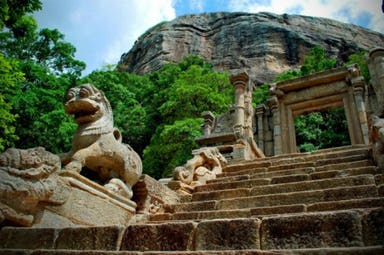 Feel the real Sri Lanka
