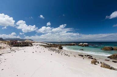 South Africa and Mozambique tour - Safari, sea and snorkeling holiday